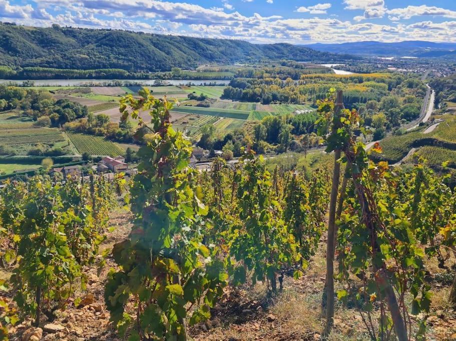 Gite De 70M² Avec Vue Sur Le Massif Du Pilat Clonas-sur-Vareze Exterior photo