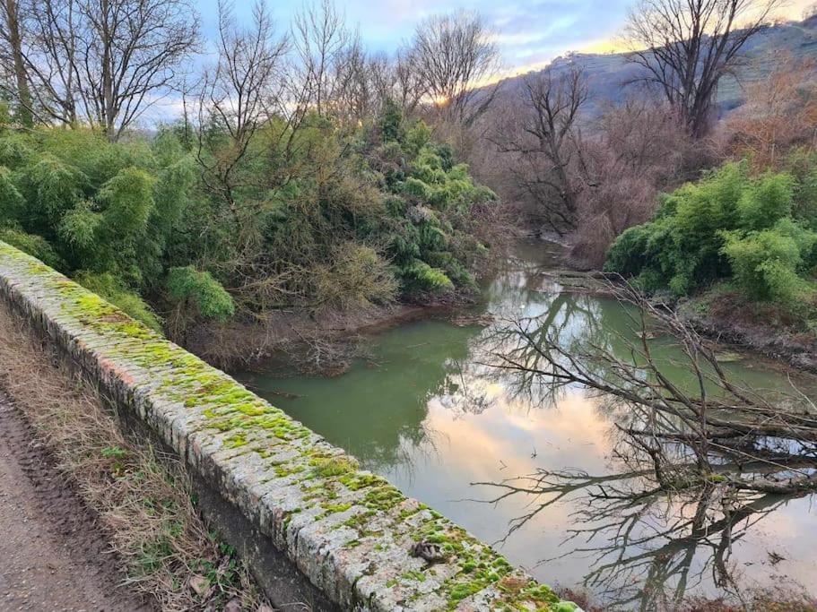 Gite De 70M² Avec Vue Sur Le Massif Du Pilat Clonas-sur-Vareze Exterior photo